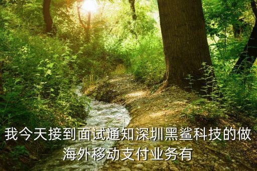 我今天接到面試通知深圳黑鯊科技的做海外移動支付業(yè)務(wù)有