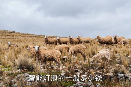 高科技智能燈多少錢一個，智能疏散指示燈多少錢一個