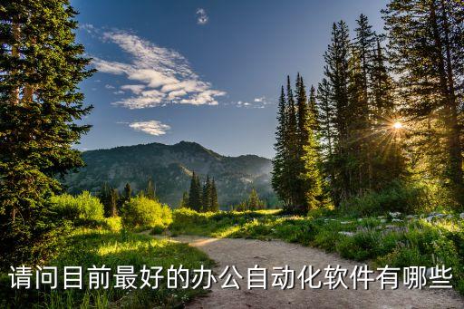 高級辦公自動化應(yīng)用，請問目前最好的辦公自動化軟件有哪些