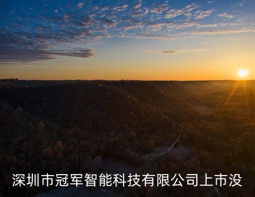 深圳市冠軍智能科技有限公司上市沒