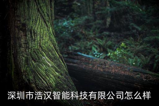 深圳市浩漢智能科技有限公司怎么樣