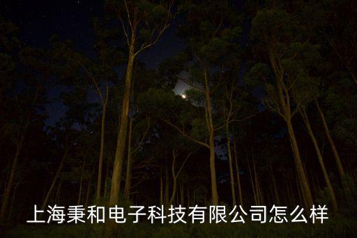 上海秉和電子科技有限公司怎么樣