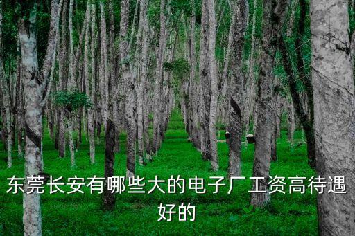 東莞長(zhǎng)安有哪些大的電子廠工資高待遇好的