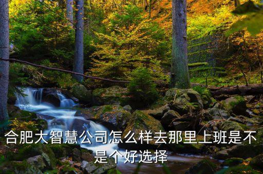 合肥大智慧公司怎么樣去那里上班是不是個好選擇