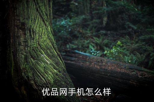 優(yōu)品網(wǎng)手機(jī)怎么樣