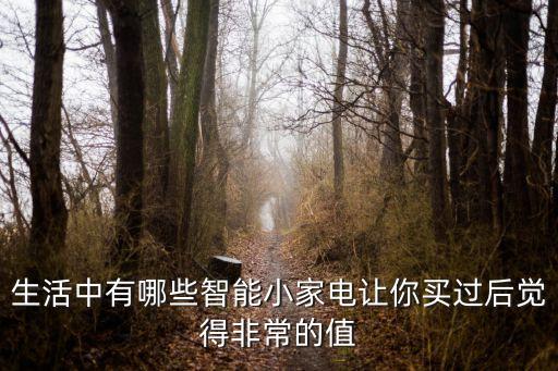 生活中有哪些智能小家電讓你買過后覺得非常的值