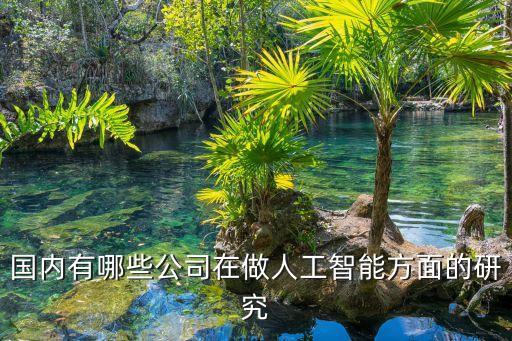 中國(guó)四大AI公司，國(guó)內(nèi)做AI芯片的有哪些企業(yè)