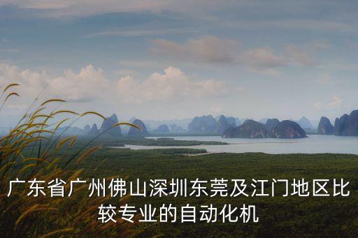 廣東省廣州佛山深圳東莞及江門地區(qū)比較專業(yè)的自動化機(jī)