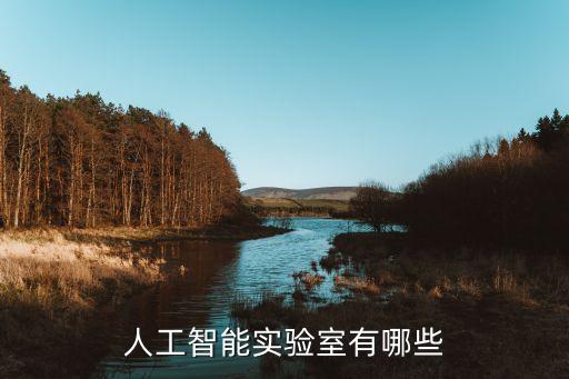 人工智能實(shí)驗(yàn)室有哪些