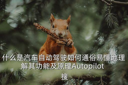 什么是汽車自動駕駛?cè)绾瓮ㄋ滓锥乩斫馄涔δ芗霸鞟utopilot  搜