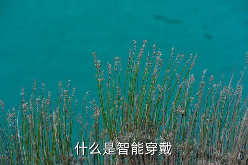 智能黑科技穿戴產(chǎn)品是什么，什么是智能穿戴設(shè)備