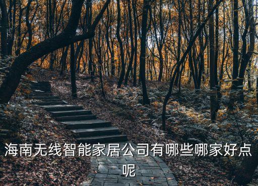 海南無線智能家居公司有哪些哪家好點(diǎn)呢