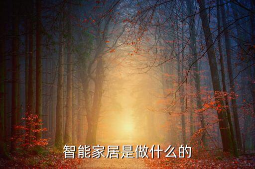 聞泰科技做的什么智能家居，智能家居干什么的