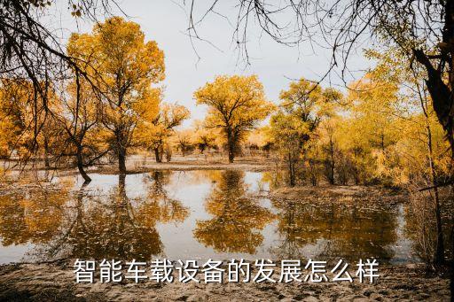 智能車載設(shè)備的發(fā)展怎么樣