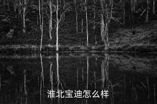 淮北寶迪怎么樣