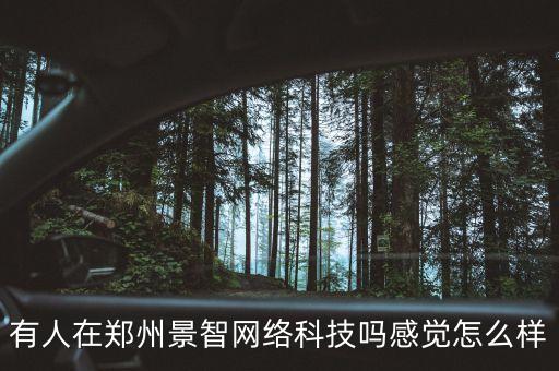 有人在鄭州景智網(wǎng)絡(luò)科技嗎感覺怎么樣