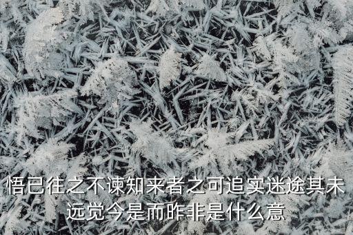 賦能未來的意思，王者不可復(fù)兮翼來者之可望