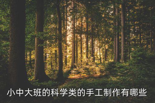 小中大班的科學(xué)類的手工制作有哪些