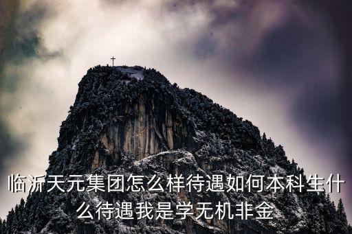 臨沂天元集團(tuán)怎么樣待遇如何本科生什么待遇我是學(xué)無(wú)機(jī)非金