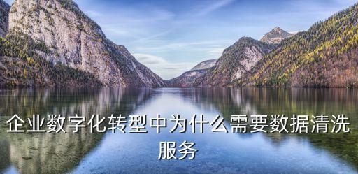 企業(yè)數(shù)字化轉(zhuǎn)型，我們公司要做采購(gòu)數(shù)字化轉(zhuǎn)型了有什么平臺(tái)更專業(yè)更高效嗎