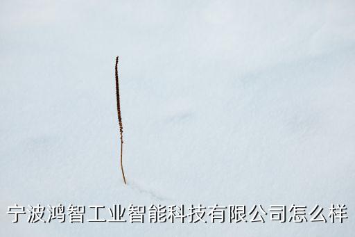 寧波鴻鈺智能科技怎么樣，inew手機(jī)怎么樣