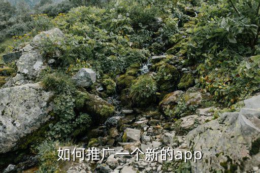 哆來(lái)咪app拉新推廣怎么做，APP拉新用戶的有哪種方法