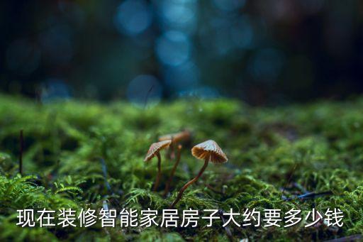 現(xiàn)在裝修智能家居房子大約要多少錢
