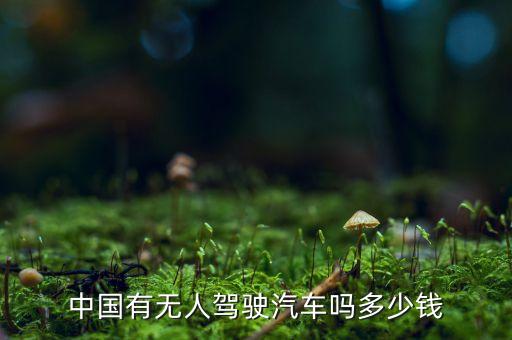 國產(chǎn)無人駕駛汽車價格，國產(chǎn)無人駕駛汽車什么價格現(xiàn)在有買嗎