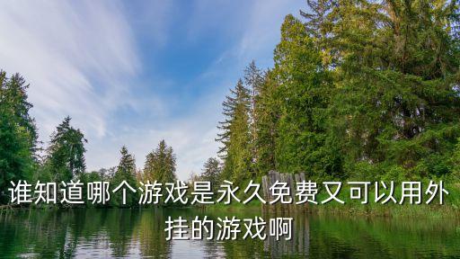 誰知道哪個(gè)游戲是永久免費(fèi)又可以用外掛的游戲啊