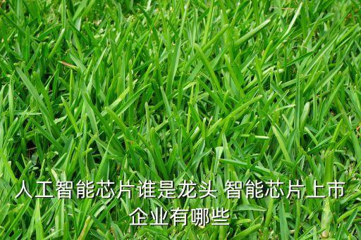 人工智能芯片誰是龍頭 智能芯片上市企業(yè)有哪些