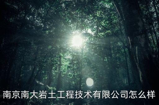 南京南大巖土工程技術有限公司怎么樣