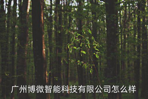廣微數(shù)據(jù)智能科技怎么樣，廣西三微智能科技有限公司怎么樣