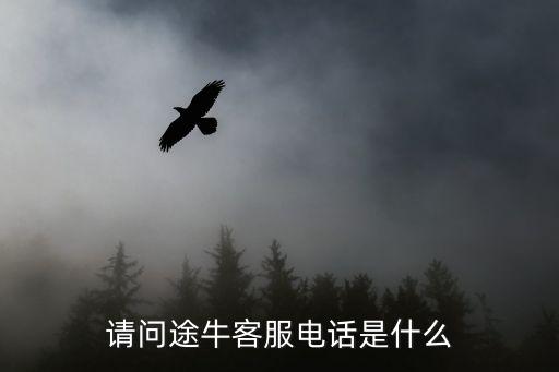 請問途?？头娫捠鞘裁? class=
