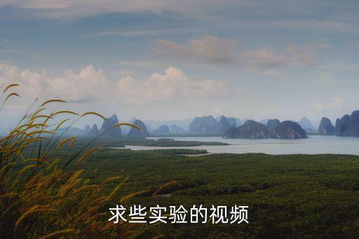 求些實(shí)驗(yàn)的視頻