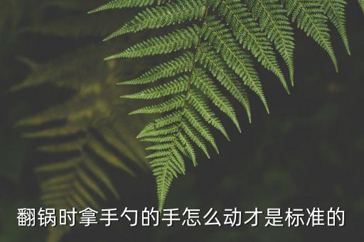 自動(dòng)翻炒鍋技巧視頻，怎樣可以自然翻鍋