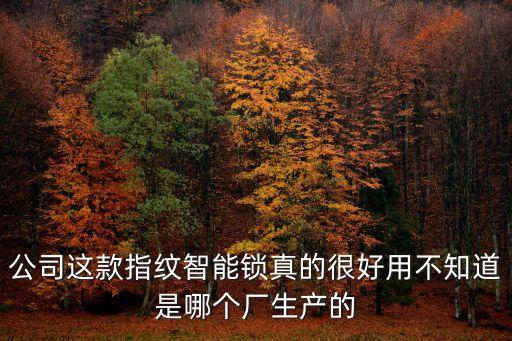 礪峰科技智能鎖怎么樣，廣州礪鋒信息科技公司怎么樣急