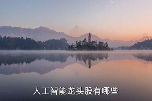 人工智能股票有哪些龍頭股，人工智能龍頭股有哪些