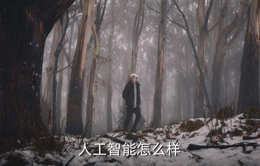 人工智能評價，人工智能怎么樣