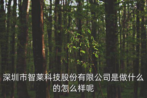 深圳市智萊科技股份有限公司是做什么的怎么樣呢