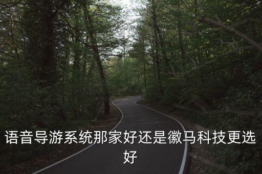 語音導(dǎo)游系統(tǒng)那家好還是徽馬科技更選好