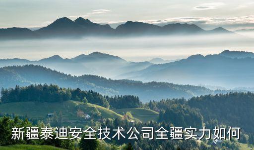 新疆泰迪安全技術(shù)公司全疆實力如何