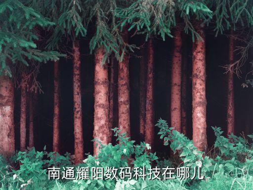 耀陽科技智能切割機(jī)哪里生產(chǎn)的，北京盛大耀陽科技有限公司怎么樣