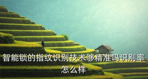 智能科技掌紋門(mén)鎖怎么樣，智能掌紋門(mén)和電子密碼鎖哪個(gè)好好在哪里