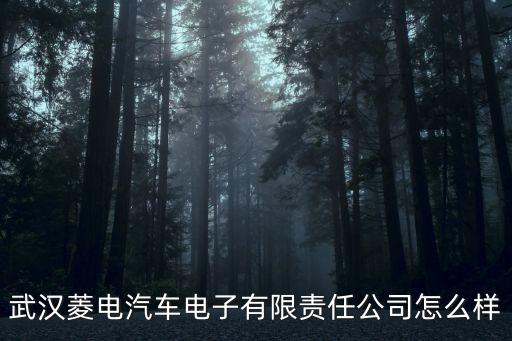 菱電智能科技怎么樣，intel的智能響應(yīng)技術(shù)到底怎么樣