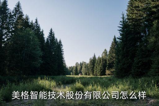 美格智能技術(shù)股份有限公司怎么樣