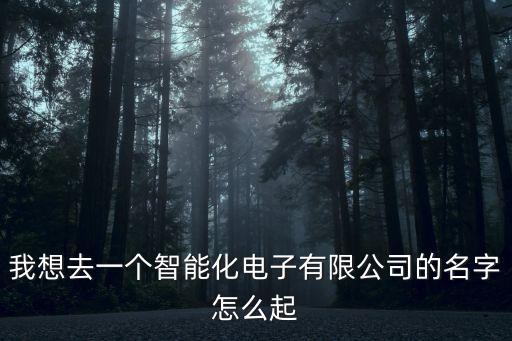 我想去一個(gè)智能化電子有限公司的名字怎么起