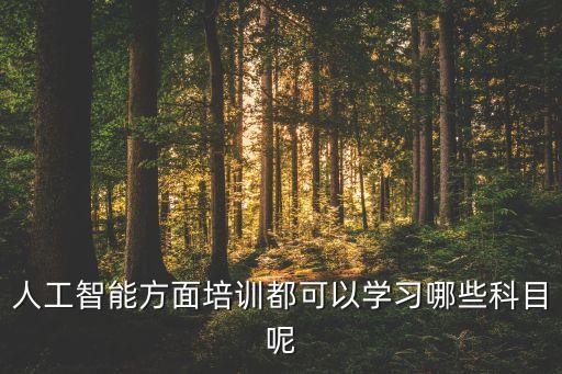 人工智能方面培訓都可以學習哪些科目呢