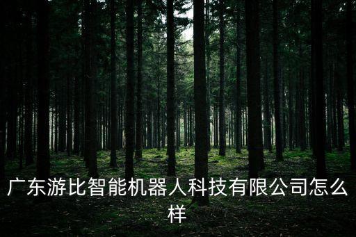 廣東游比智能機器人科技有限公司怎么樣