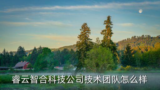 睿云智合科技公司技術(shù)團(tuán)隊(duì)怎么樣