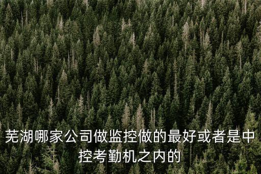蕪湖哪家公司做監(jiān)控做的最好或者是中控考勤機(jī)之內(nèi)的